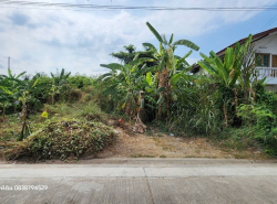 รถมือสอง อสังหาริมทรัพย์ ที่ดิน ปี 0 