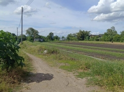 ที่ดิน ที่ดิน บางเดื่อ ใกล้ถนนราชพฤกษ์ ตัดใหม่ ปทุมธานี ใกล้แหล่งอำนวยความสะดวก