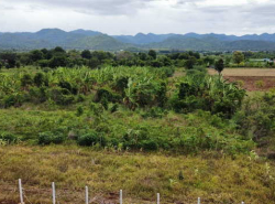 รถมือสอง อสังหาริมทรัพย์ ที่ดิน ปี 0 