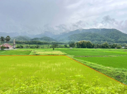 รถมือสอง อสังหาริมทรัพย์ ที่ดิน ปี 0 