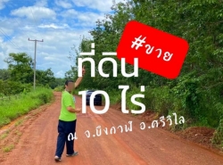 ขาย ที่ดิน บึงกาฬ ศรีวิไล 10 ไร่ 8 งาน อยู่ใกล้แหล่งชุมชน