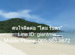 ที่ดิน ที่ดินเกาะพีพี จ.กระบี่  5000000 บาท. ไม่ไกลจาก  Loh Lana Bay (500 ม.) NICE