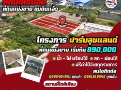 รถมือสอง อสังหาริมทรัพย์ ที่ดิน ปี 0 