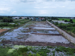 ขายที่ดินเปล่า คลอง11ตำบลบึงทองหลาง อำเภอลำลูกกา  จังหวัดปทุมธานี เนื้อที่ 800 ตรว. เหมาะสร้างโกดัง โรงงาน