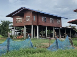 ขาย ที่ดินพร้อมสิ่งปลูกสร้าง บ้านไม้ใต้ถุนสูง ต.บึงงาม อ.ทุ่งเขาหลวง จ.ร้อยเอ็ด PAP6-0527