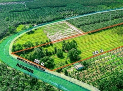 รถมือสอง อสังหาริมทรัพย์ ที่ดิน ปี 0 