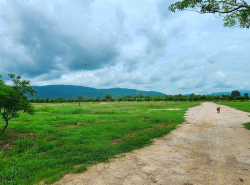 รถมือสอง อสังหาริมทรัพย์ ที่ดิน ปี 0 