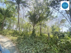 Land for Sale ขายที่ดินใกล้สนามบินภูเก็ต พิกัด : โซนสนามบินภูเก็ต