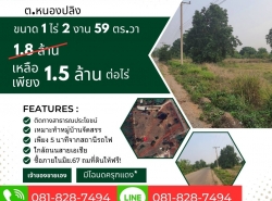 ที่ดินขนาด 1ไร่ 2 งาน 59 ตร.วา ???? พื้นที่อ.เมืองนครสวรรค์ ต.หนองปลิง  