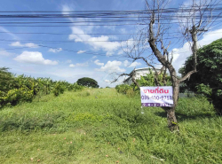 ขายที่ดิน 4 ไร่ กว่า ถนน เกตุอ่ำพัฒนา แยกจาก ซอย วัดลาดปลาดุก