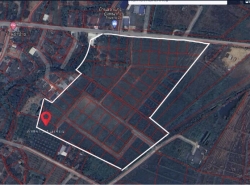 ขายที่ดินเปล่า ถนนย่าพาย บวกค้าง สันกำแพง เชียงใหม่ ผังเมืองสีเขียว