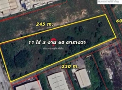 ขายที่ดิน ในนิคม WHA 1 บ่อวิน ผังสีม่วงเข้ม ศรีราชา ชลบุรี TP-L0438