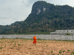 รถมือสอง อสังหาริมทรัพย์ ที่ดิน ปี 0 