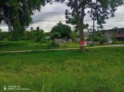 ขายที่ดินพร้อมบ้านปูนชั้นเดียว ติดถนนสายหลัก อุดรธานี-เลย (หมายเลข 210) อำเภอหนองวัวซอ จังหวัดอุดรธานี เนื้อที่ 1 ไร่ 21 ตารางวา