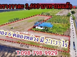 ที่ดินคลอง6 อ.คลองหลวง ปทุมธานี 2 ไร่ 137 ตร.ว. ตร.ว 3,500.-