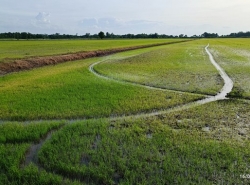 รถมือสอง อสังหาริมทรัพย์ ที่ดิน ปี 0 