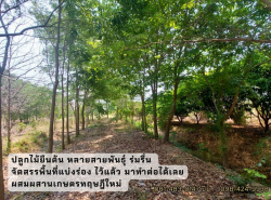 รถมือสอง อสังหาริมทรัพย์ ที่ดิน ปี 0 