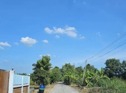 ขายที่ดินเปล่า 188 ตรว. คลอง 12 หนองเสือ ปทุมธานี ใกล้ตลาดบัวหลวง เหมาะกับปลูกบ้าน