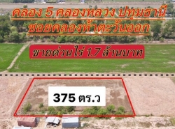 ที่ดินคลองห้า คลองหลวง ปทุมธานี ที่ทำเลดี ขนาด 375 ตรว.