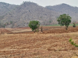 รถมือสอง อสังหาริมทรัพย์ ที่ดิน ปี 0 