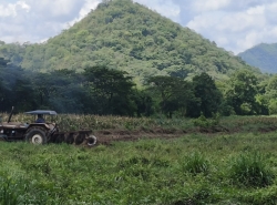 รถมือสอง อสังหาริมทรัพย์ ที่ดิน ปี 0 