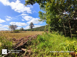 รถมือสอง อสังหาริมทรัพย์ ที่ดิน ปี 0 