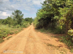 รถมือสอง อสังหาริมทรัพย์ ที่ดิน ปี 0 