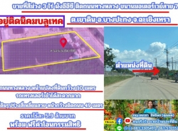 ขายที่สีม่วง 3 ไร่ ผังอีอีซี รถเทรลเลอร์เข้าได้ ต.เขาดิน อ.บางปะกง จ.ฉะเชิงเทรา