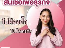 สินเชื่อสำหรับเจ้าของกิจการ