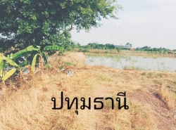 รถมือสอง อสังหาริมทรัพย์ ที่ดิน ปี 0 