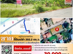 รถมือสอง อสังหาริมทรัพย์ ที่ดิน ปี 0 