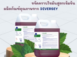 รถมือสอง ประกาศทั่วไป อื่นๆทั่วไป ปี 0 