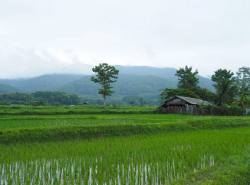 รถมือสอง อสังหาริมทรัพย์ ที่ดิน ปี 0 