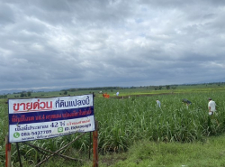 รถมือสอง อสังหาริมทรัพย์ ที่ดิน ปี 0 