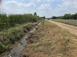 รถมือสอง อสังหาริมทรัพย์ ที่ดิน ปี 0 