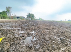 ที่ดิน100 ตรว. คลอง7 หนองเสือ  ปทุมธานี น้ำไฟถึงแล้ว มีทั้งสดและผ่อน