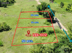 ขาย ที่ดิน เหมาะสำหรับสร้างบ้านอยู่อาศัย  ที่ดินสวย 50 ตรว อุดรธานี