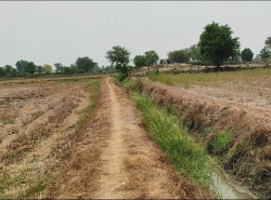 รถมือสอง อสังหาริมทรัพย์ ที่ดิน ปี 0 