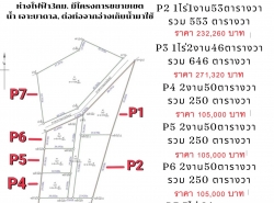 ขายที่ดินแบ่งจัดสรร เริ่ม250ตรว. 105,000บ. ฟรีโอน สวนมะขาม ถนน น้ำ ไฟฟ้า ต.บ้านกลาง อ.หล่มสัก เพชรบูรณ์