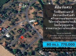 ขายที่ดิน จัดสรร 80 ตร.ว. โครงการบ้านเนินน้ำ แวดล้อมด้วยธรรมชาติ ตะเคียนเตี้ย บางละมุง เพียง 770000