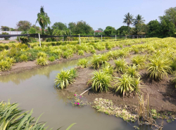 รถมือสอง อสังหาริมทรัพย์ ที่ดิน ปี 0 