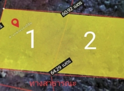 ขายที่ดิน 474ตรว. 3.555ลบ. ถนน ไฟฟ้า ประปา ติดหมู่บ้านกรีนปาร์ค บ้านหลุก ต.ป่าสัก อ.เมือง ลำพูน