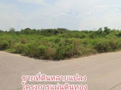 ขายที่ดิน 2 ไร่ โครงการแผ่นดินทอง    ถนนบ้านแพ้วพระประโทน กม.21  สามพราน นครปฐม   ZW363