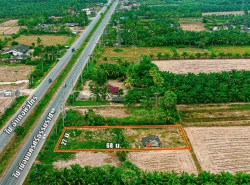 ขาย ที่ดิน ติดถนน 4 เลน อ.เชียรใหญ่  อ.หัวไทร พิกัด ใกล้ สำนักงานเทศบาลตำบลการะเกด 1 ไร่ 0 งาน 41 ตร.วา