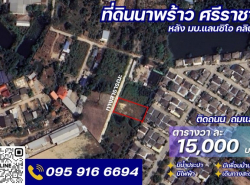 อสังหาริมทรัพย์ - ที่ดิน