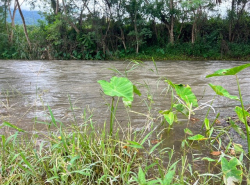 รถมือสอง อสังหาริมทรัพย์ ที่ดิน ปี 0 