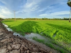 รถมือสอง อสังหาริมทรัพย์ ที่ดิน ปี 0 