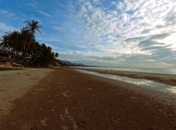 ร่ำรวยมั่งดีเลือกหาซื้อทรัพย์ดีที่ทีมงานขอเสนอ  ขายที่ดินริมหาดสะพลีทรายขาวน้ำใสคราม สวยงามวิวทะเลธรรมชาติสุดสุด ปะทิวใกล้หาดสวยทุ่งวัวแล่น  