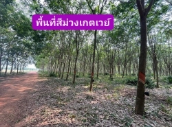 ที่ดินใกล้นิคมเกตุเวย์ ที่ดินพื้นที่สีม่วง สร้างโรงงานได้ อยู่ในแหล่งความเจริญ การเดินทางสะดวก สร้างโกดังได้