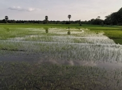 รถมือสอง อสังหาริมทรัพย์ ที่ดิน ปี 0 